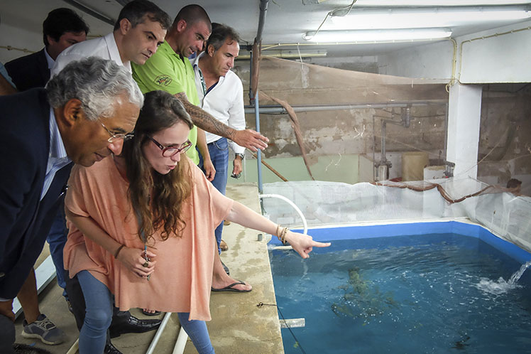 Indústria do Mar é oportunidade para crescer e criar emprego