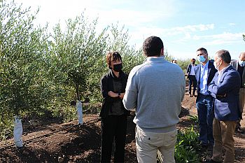 Ajudas aos agricultores ultrapassaram 450 milhões de euros em outubro