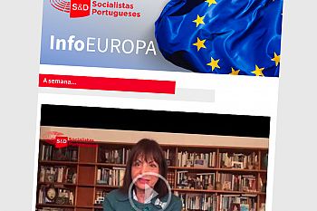 Newsletter Semanal
