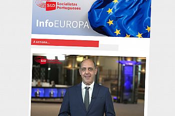 NEWSLETTER SEMANAL