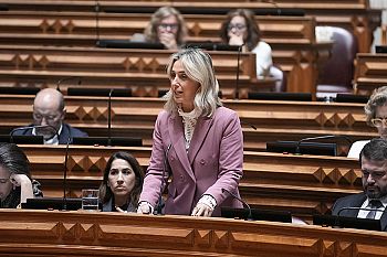 Parlamento aprova diploma que acaba com tratamento desigual entre docentes