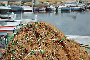 PS quer ouvir associações de pescadores das regiões fronteiriças do Minho e do Guadiana sobre Acordo Bilateral de Pesca