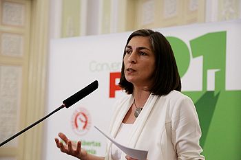PS deve discutir modelo de vinculação promotor de maior abertura