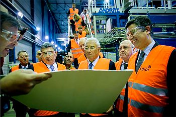 Priorizar o investimento na melhoria da produtividade florestal