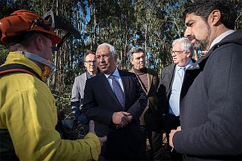 Limpeza da floresta é decisiva para diminuir riscos