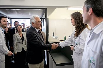 Reforma dos cuidados primários é a base futura do SNS