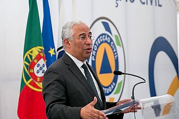 Reforma da floresta portuguesa concretizada este mês