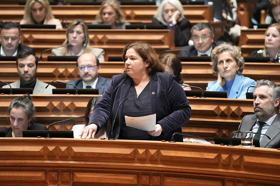 Governo é um fator de instabilidade política