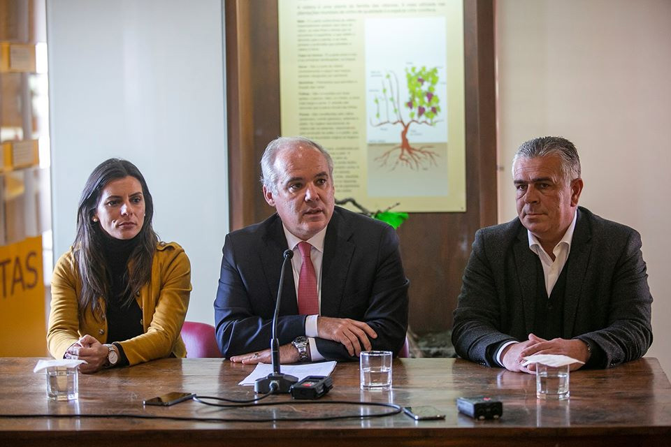 Eurodeputados do PS vão aos Açores reunir-se com deputados socialistas regionais