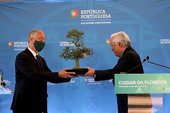 Governo reforça persistência na reforma da floresta