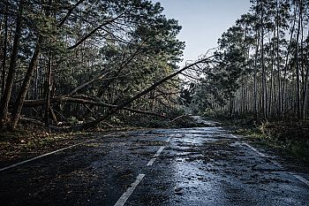 Governo deve divulgar mensalmente a execução orçamental das medidas extraordinárias