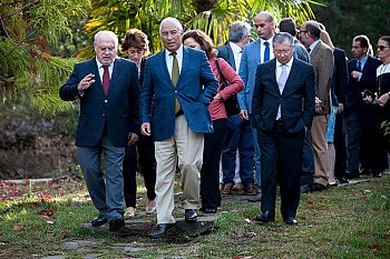 Reforma da floresta com mais de 600 contributos