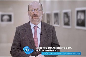 Ambiente: Aposta no transporte público e descarbonização da economia